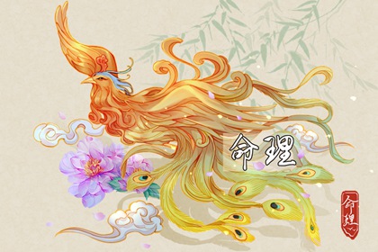 择吉日黄历|择吉日老黄历|择吉2026皇历